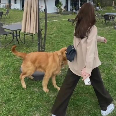 赌命为王第二季